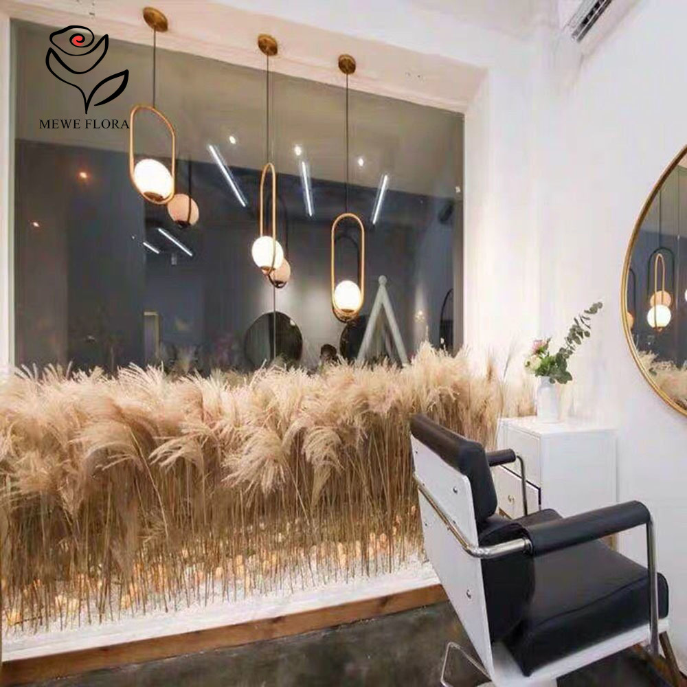200PCS Natural Dried Fluffy Re - Luxury Lifestyle Items 评论和价格