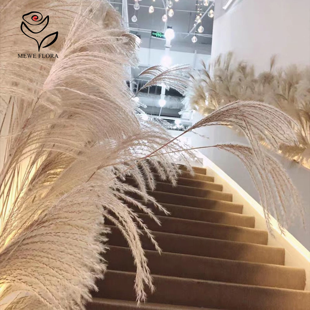 200PCS Natural Dried Fluffy Re - Luxury Lifestyle Items 评论和价格