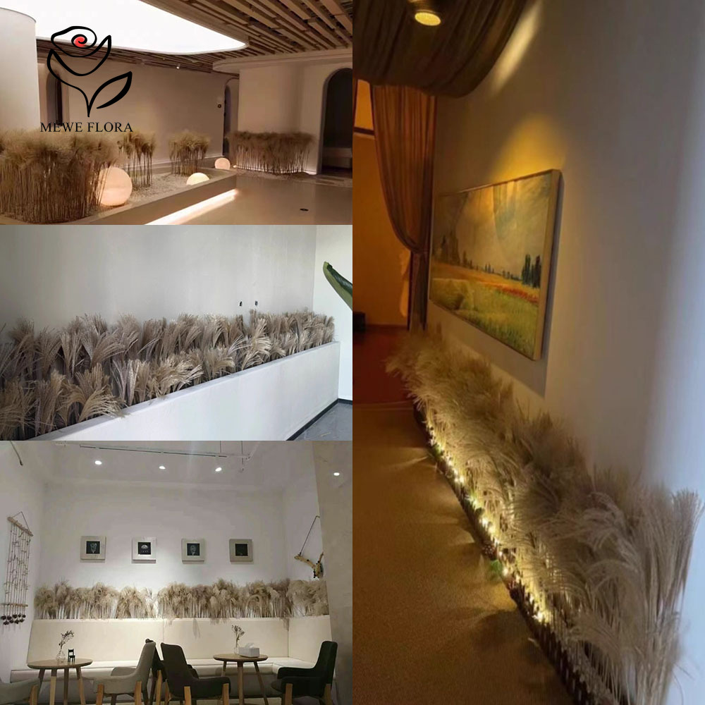 200PCS Natural Dried Fluffy Re - Luxury Lifestyle Items 评论和价格