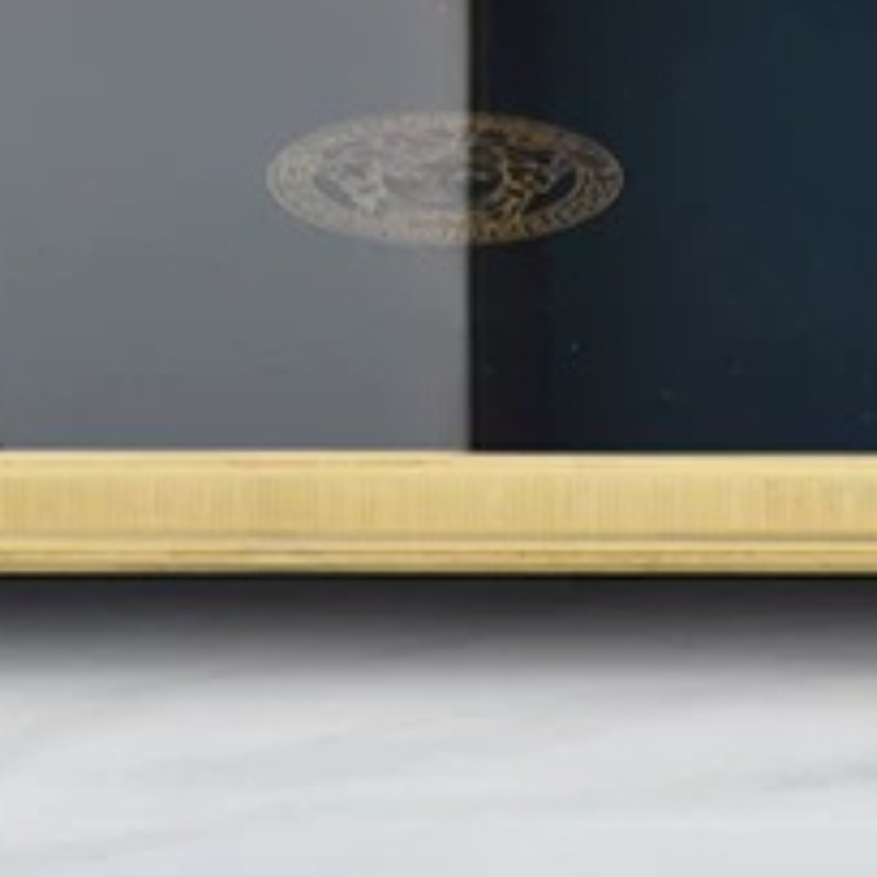 European Modern Sleek Tray Des - Luxury Lifestyle Items 评论和价格